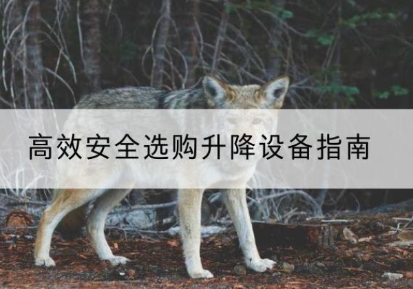 睢阳升降货梯厂家推荐-*安全选购升降设备指南