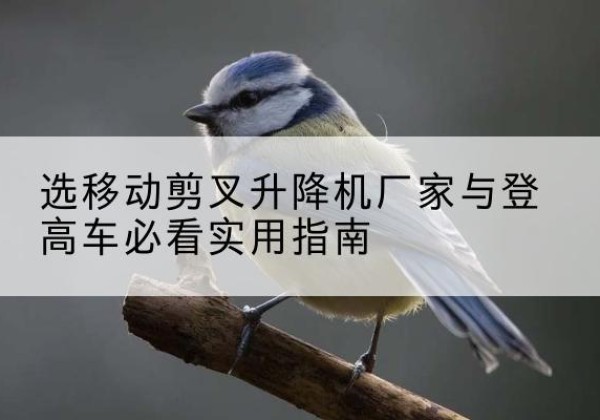 睢阳电动升降机厂家-选移动剪叉升降机厂家与登高车必看实用指南