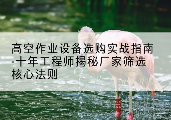 睢阳剪叉式升降机厂家-高空作业设备选购实战指南-十年工程师揭秘厂家筛选核心法则